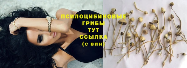 винт Алексеевка