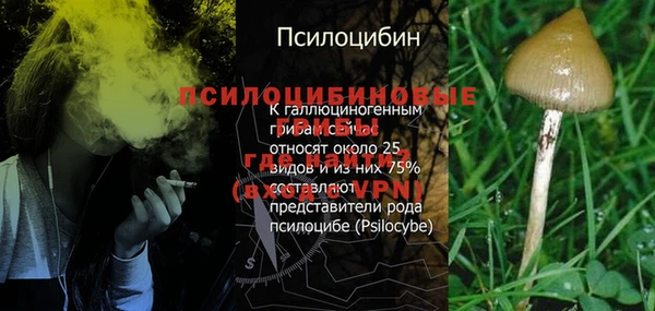 прущие грибы Алексин